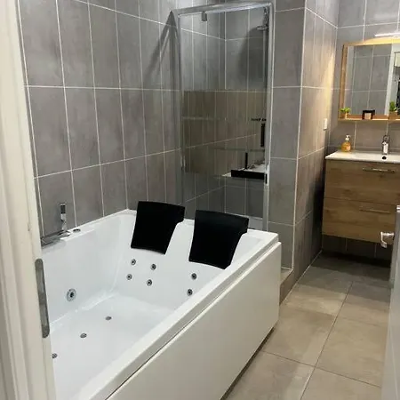 Mozart Cosy * Chasse-sur-Rhone
